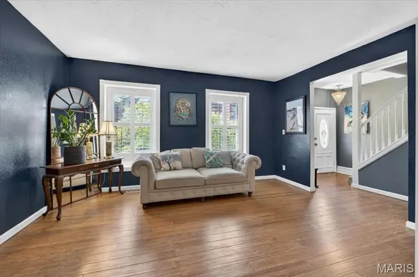 4161 Flad AVE, St Louis, MO 63110