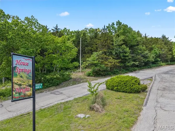 4204 Oakcrest DR, House Springs, MO 63051