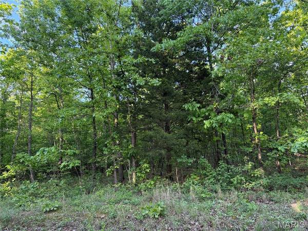 Tract 4 Carter 327, Ellsinore, MO 63937