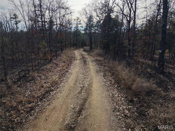 Tract 1 Bidwell Creek RD, Womack, MO 63645