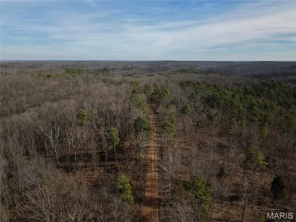 Tract 3 Bidwell Creek RD, Womack, MO 63645