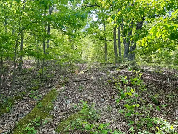 0 Pratt RD, Cadet, MO 63630