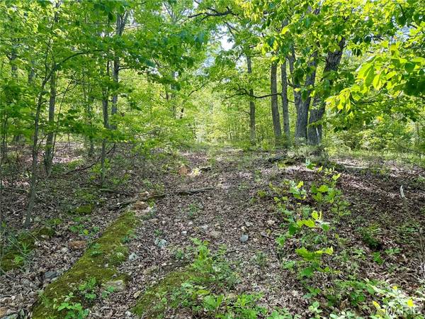 0 Pratt RD, Cadet, MO 63630