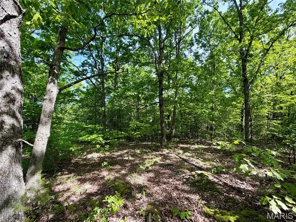 0 Pratt RD, Cadet, MO 63630