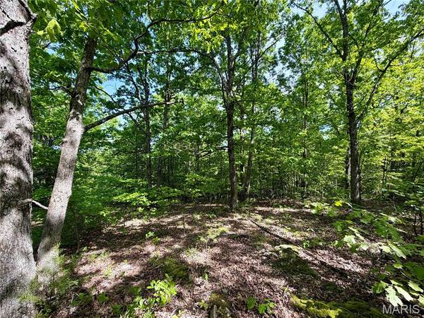 0 Pratt RD, Cadet, MO 63630