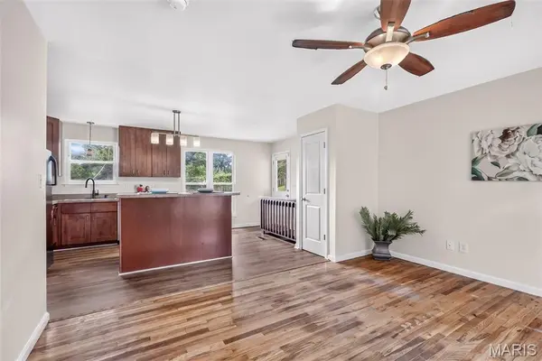 110 E Thornton AVE, Webster Groves, MO 63119