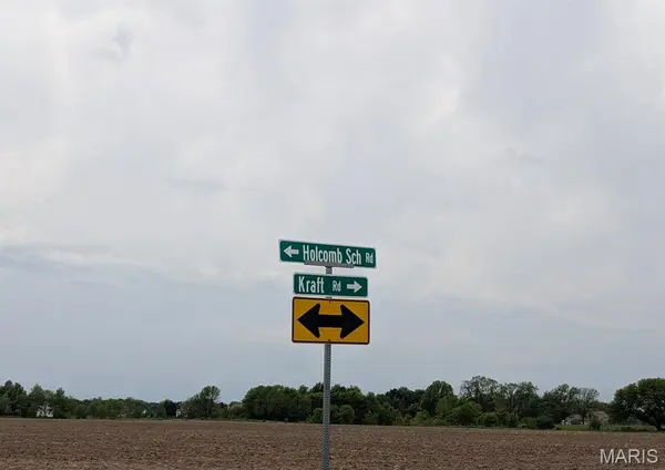 6906 Holcomb School RD, Freeburg, IL 62243