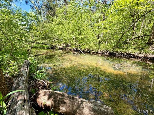 6 Furnace Creek RD, Potosi, MO 63664