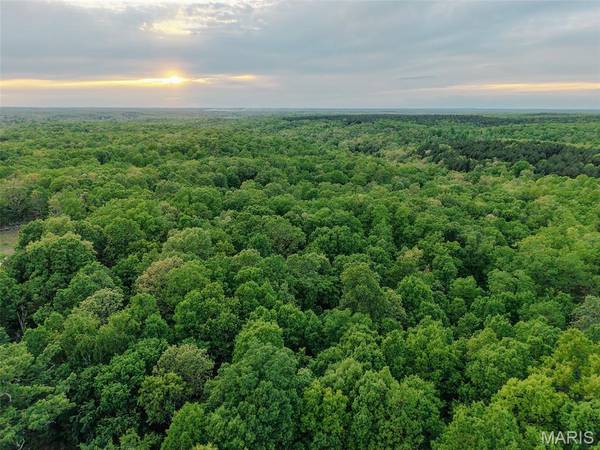 65+- Acres E Highway 32, Salem, MO 65560