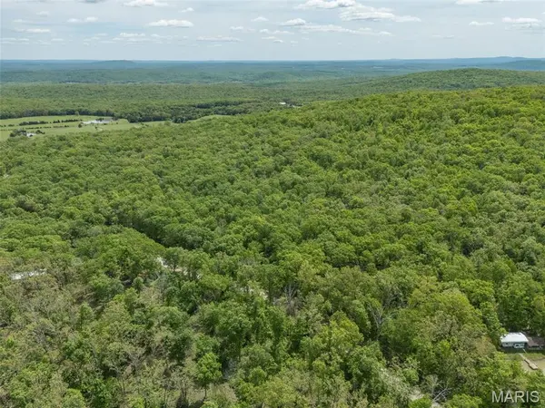 1 Buck Mountain RD, Doe Run, MO 63637
