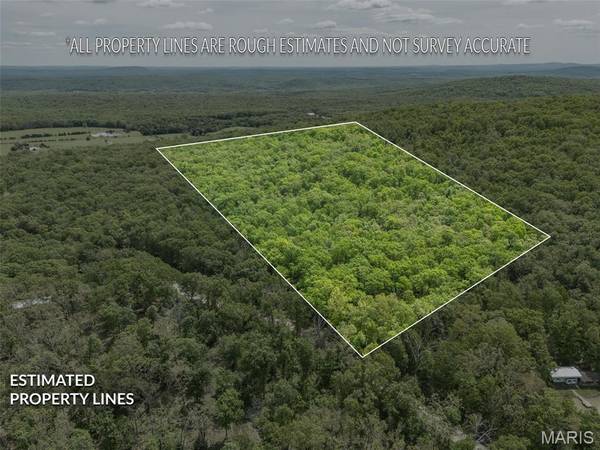 1 Buck Mountain RD, Doe Run, MO 63637