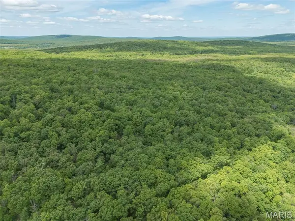 1 Buck Mountain RD, Doe Run, MO 63637