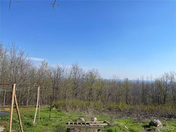 1190 Private Road 349A-5, Piedmont, MO 63957