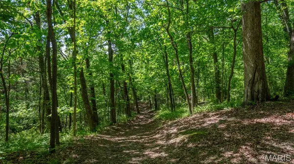 1393 Spring DR, Herculaneum, MO 63048