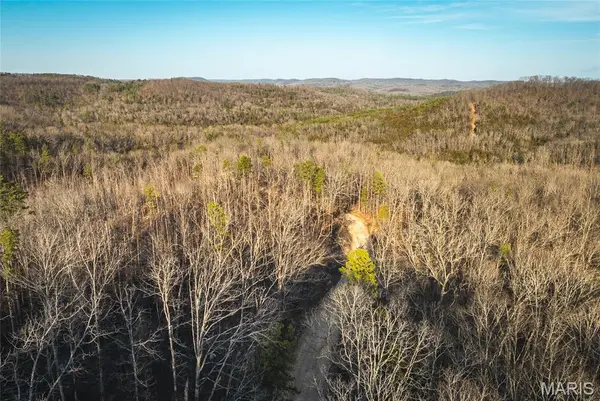 000 County Road 19-208 Tract 3, Eminence, MO 65446