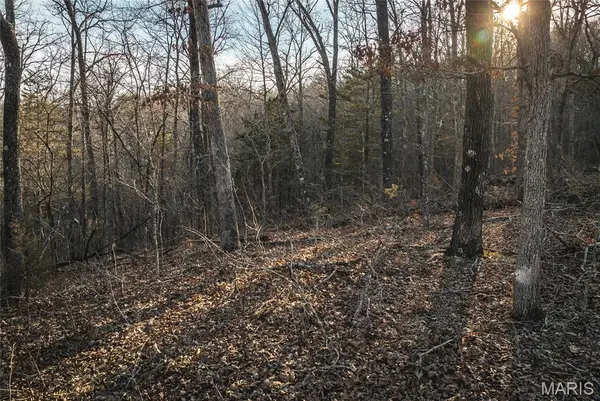 000 County Road 19-208 Tract 3, Eminence, MO 65446
