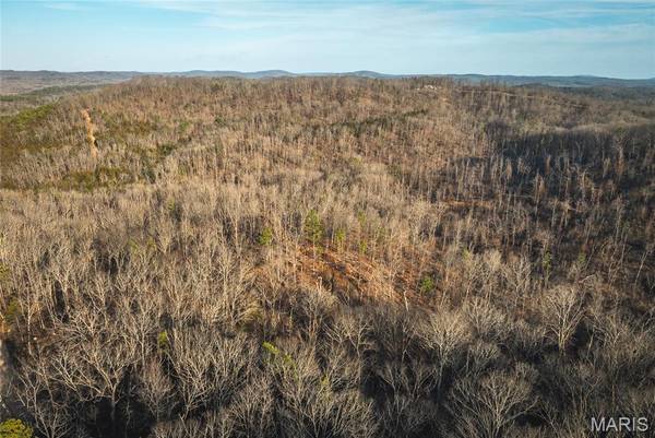 000 County Road 19-208, Eminence, MO 65446
