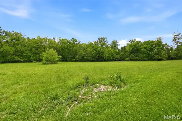12489 John Smith RD, Potosi, MO 63664