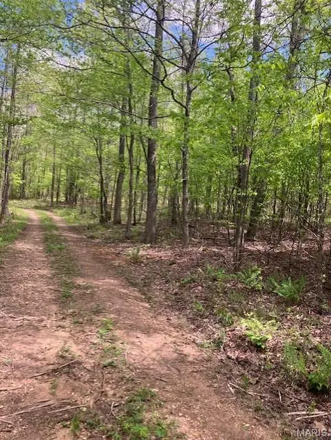223 Madison CR 410, Fredericktown, MO 63645