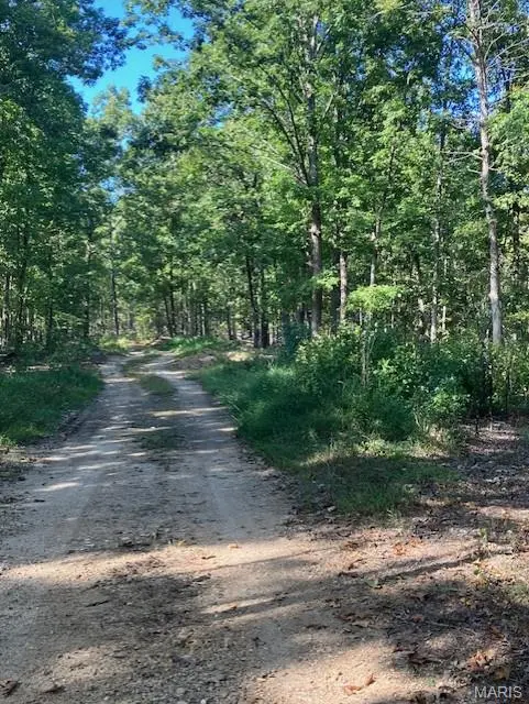 224 Madison CR 410, Fredericktown, MO 63645