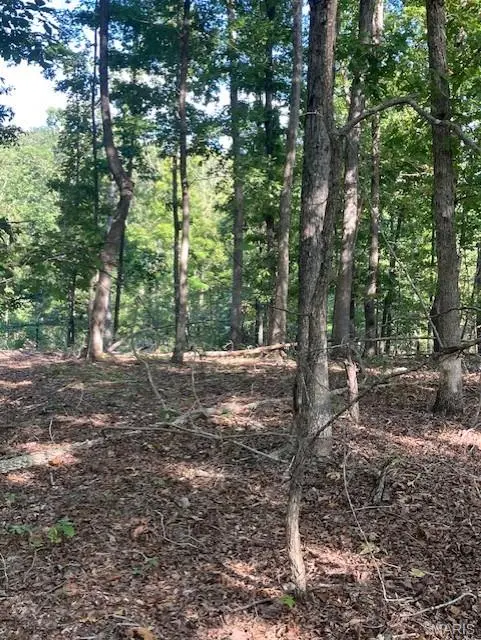 224 Madison CR 410, Fredericktown, MO 63645