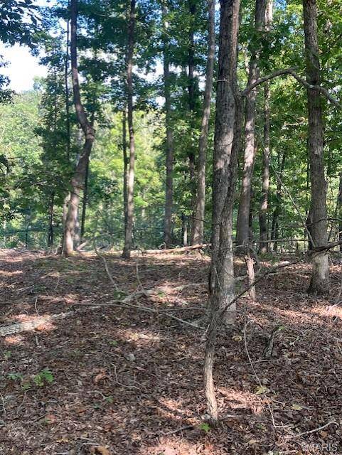 224 Madison CR 410, Fredericktown, MO 63645