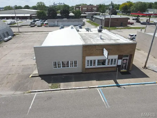 305 Lewis ST, Canton, MO 63435