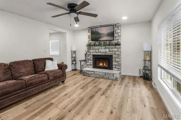 219 W Davidson AVE, Chaffee, MO 63740