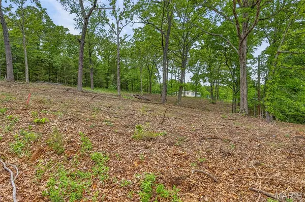 000 Andre CTS, Bonne Terre, MO 63628