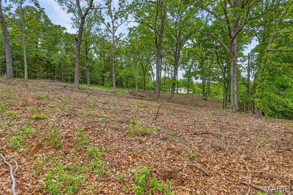 000 Andre CTS, Bonne Terre, MO 63628