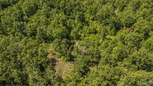 1 Ripley Route V, Doniphan, MO 63935