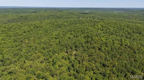 1 Ripley Route V, Doniphan, MO 63935