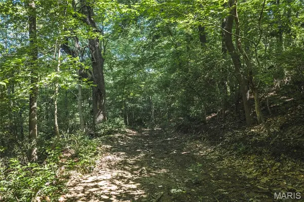 000 Stahl DR, Crystal City, MO 63019