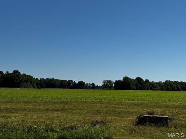 2221 County Road 608, Poplar Bluff, MO 63901