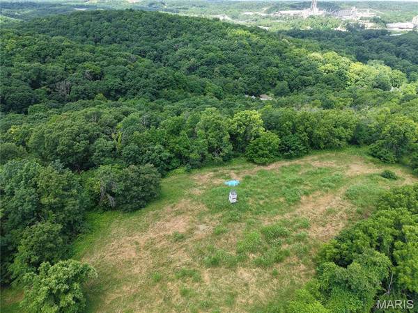 24 Monkey Run, Hannibal, MO 63401