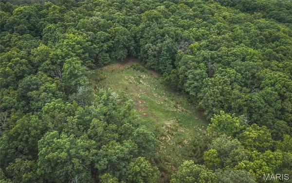 21575 State Highway B, Marble Hill, MO 63764