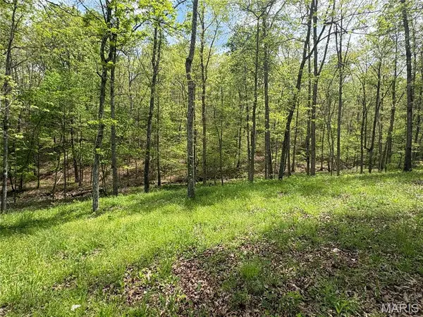 10405 County Road 700, Centerville, MO 63633