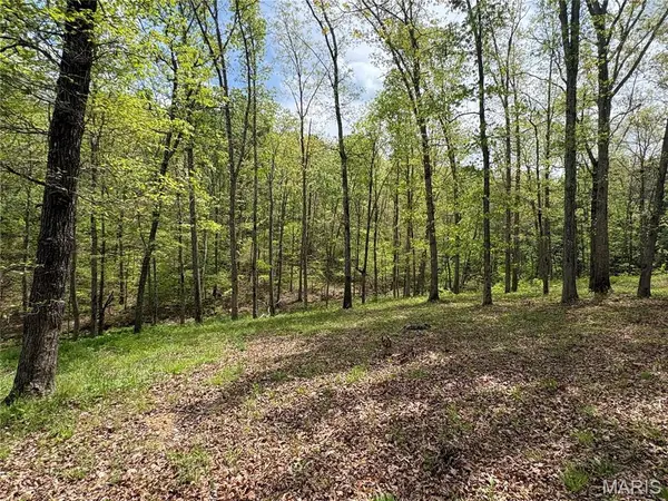 10405 County Road 700, Centerville, MO 63633