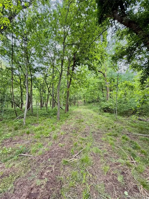 TBD SE 800 Rd. T25, Collins, MO 64738