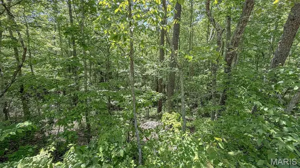 0 Off Madison 401, Fredericktown, MO 63645