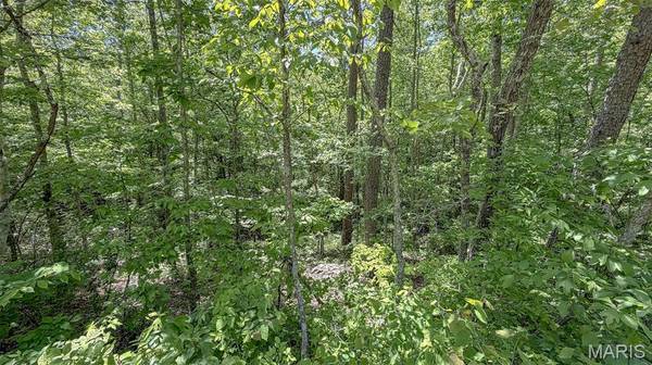 0 Off Madison 401, Fredericktown, MO 63645
