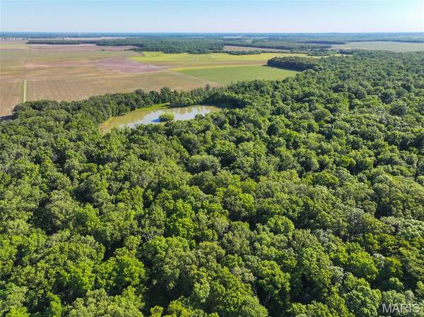 2040 Schlager Road, Elkville, IL 62932