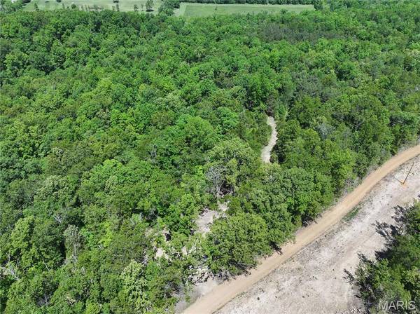 Tract 3 BCR 930, Patton, MO 63662