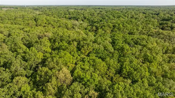 000 Highway PP, New Bloomfield, MO 65063