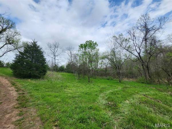 0 M- County Road 250-80, Drury, MO 65638