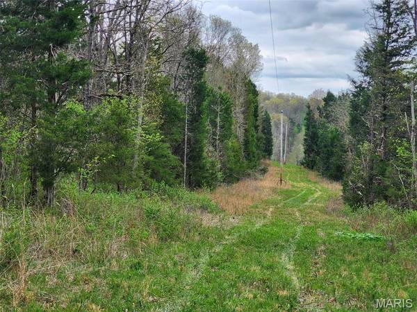 000 M- County Road 250-163, Drury, MO 65638