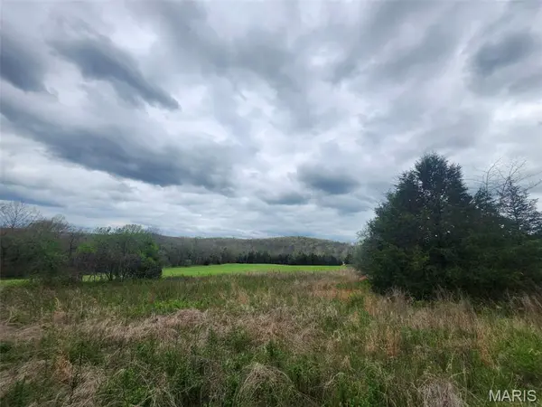 000 M- County Road 250-163, Drury, MO 65638