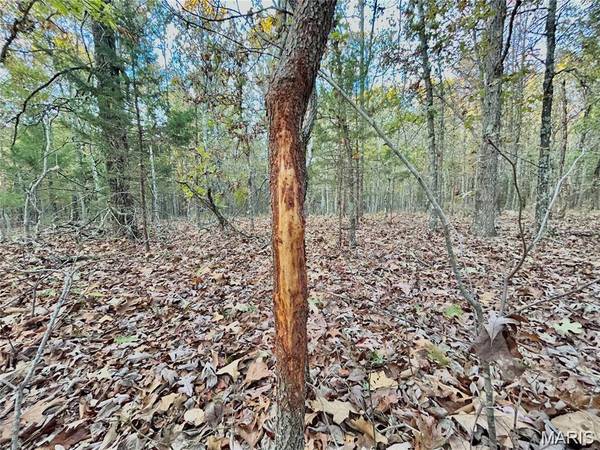 Tract 1 County Rd 4215, Salem, MO 65560
