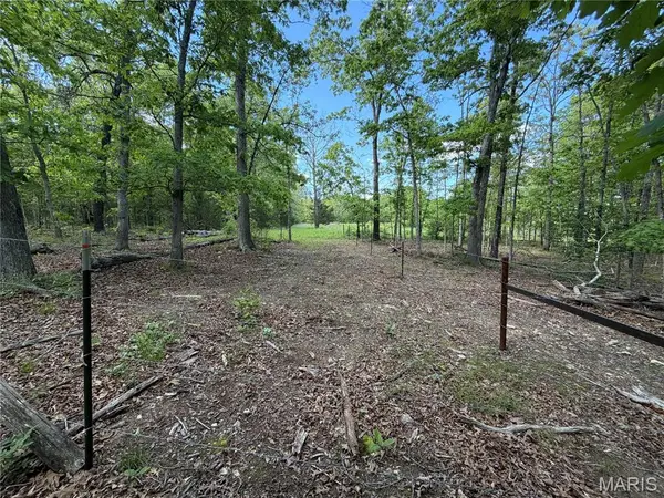 TBD Tract 7 County Rd 4210, Salem, MO 65560