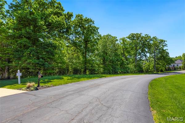 24 Grand Meridien Forest, Wildwood, MO 63005